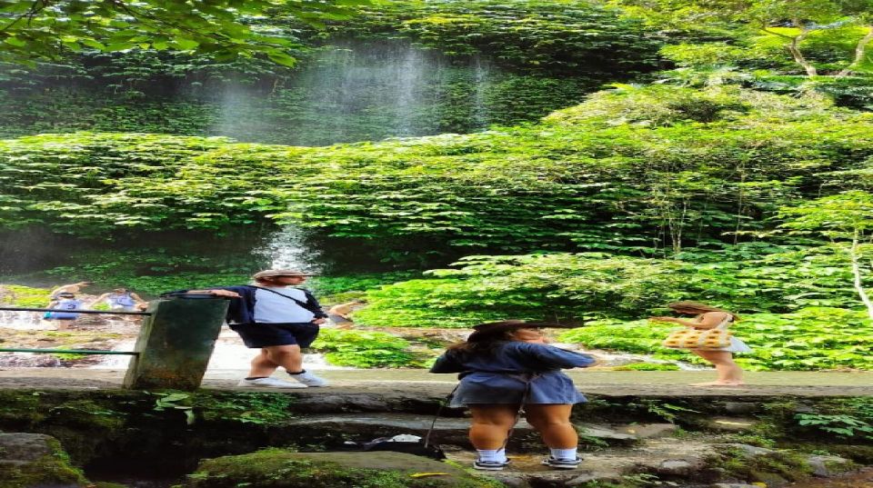 Waterfall Benang Kelabu & Walking On Rice field12