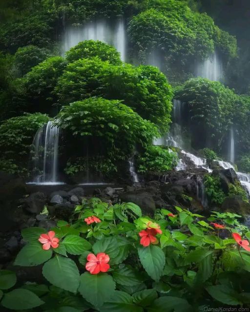 Waterfall Benang Kelabu & Walking On Rice field6